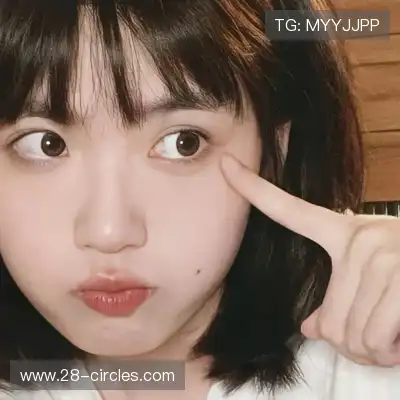 明锦柳